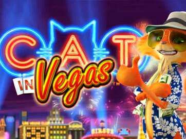 Cat in Vegas